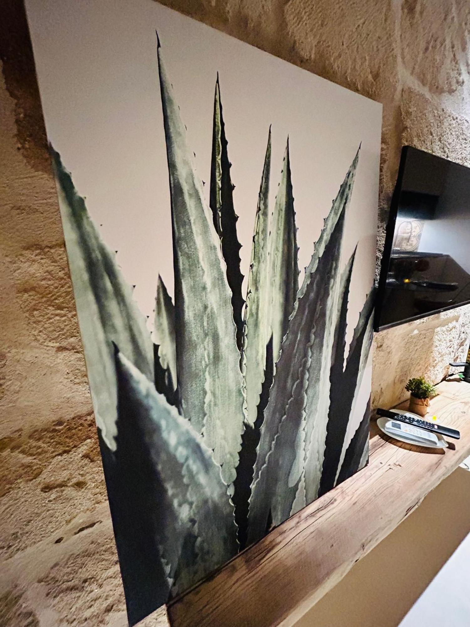 شقة My Loft - مونوبولي المظهر الخارجي الصورة