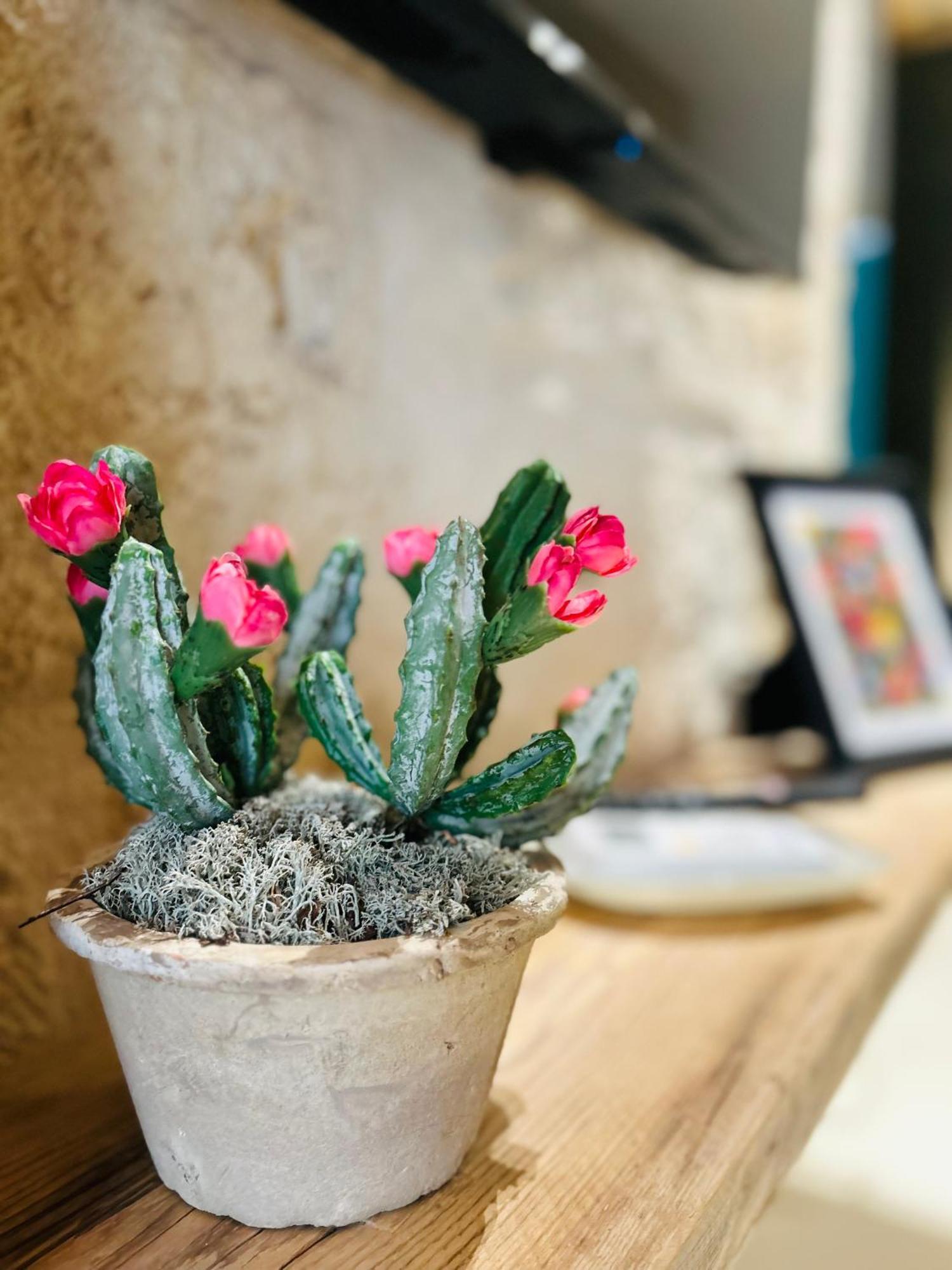 شقة My Loft - مونوبولي المظهر الخارجي الصورة
