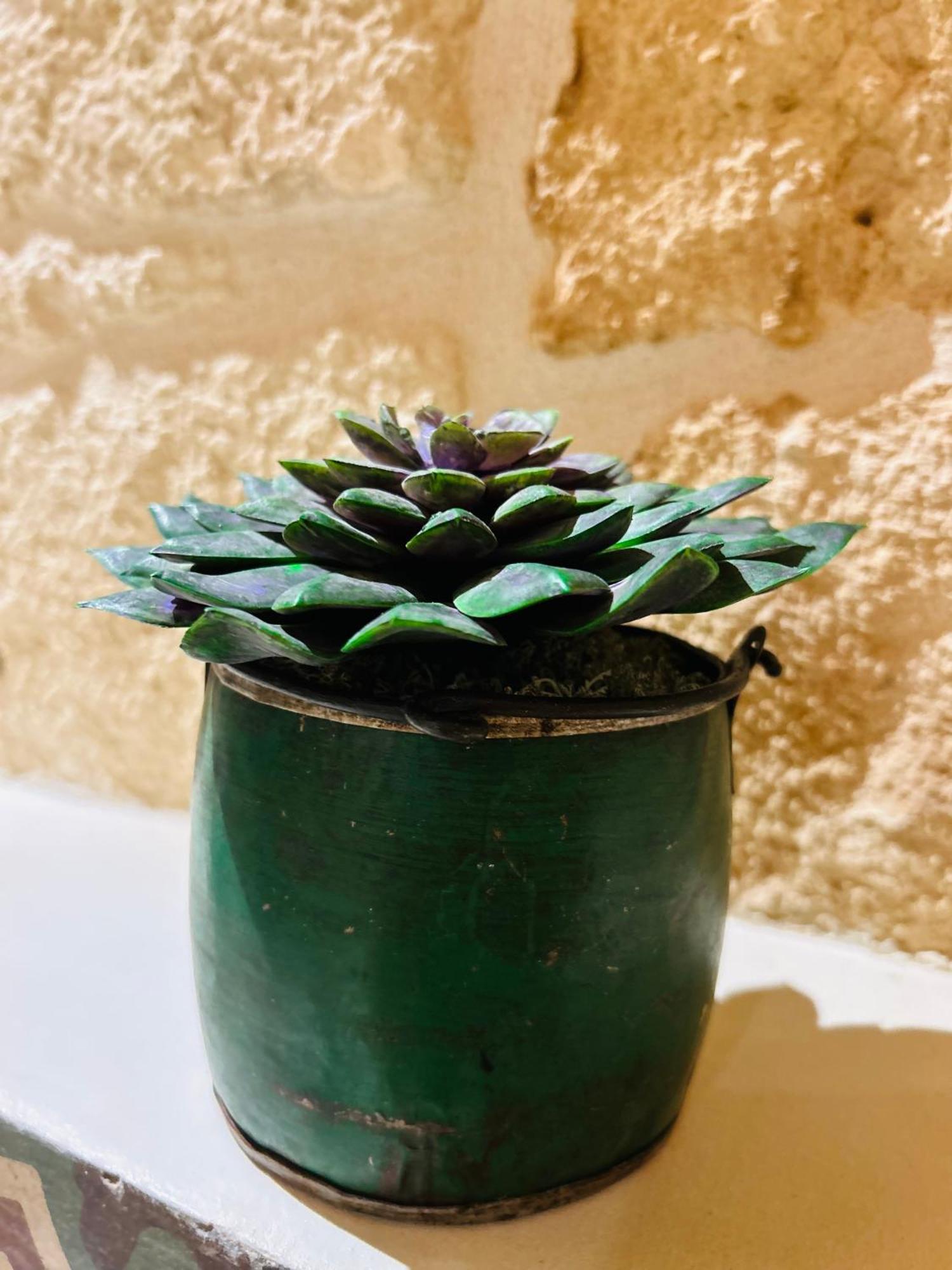 شقة My Loft - مونوبولي المظهر الخارجي الصورة